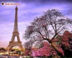 найромантичніше місто світу - Париж